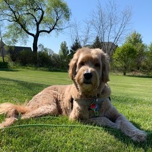 Meet your Posher, Melanie